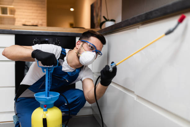 Flea Control Services in Augusta, KS