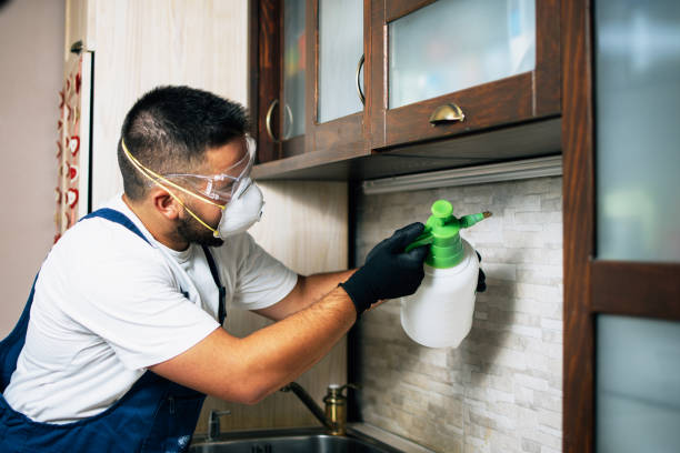 Best Affordable Pest Control Services  in Augusta, KS