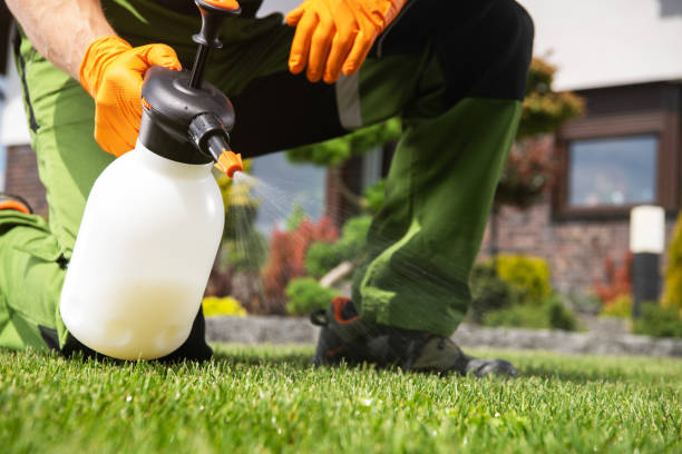 Best Pest Control Near Me in Augusta, KS
