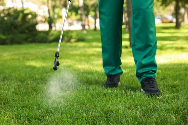 Best Affordable Exterminators  in Augusta, KS