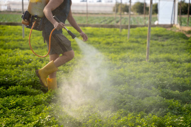 Best Best Pest Control Companies  in Augusta, KS