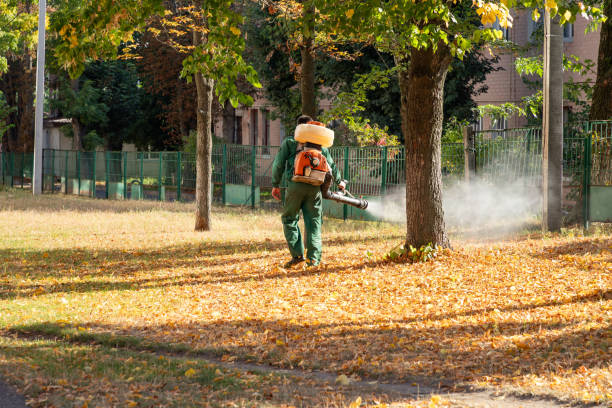 Best Insect Control  in Augusta, KS