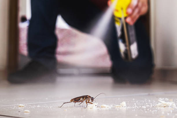 Best Affordable Pest Control Services  in Augusta, KS