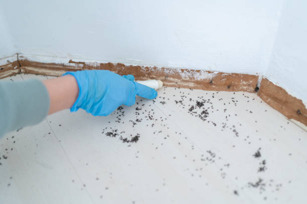 Best Pest Removal Services  in Augusta, KS