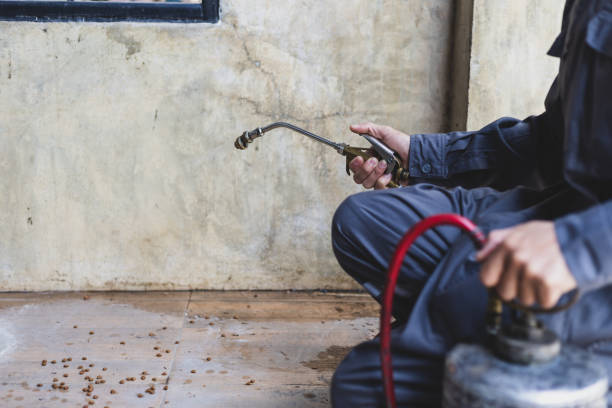 Best Pest Control Cost  in Augusta, KS